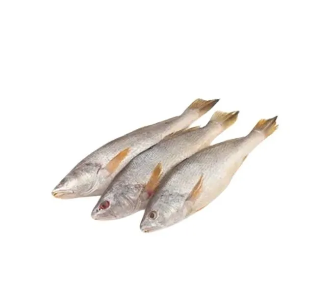 Poa-Fish-Frozen-Myanmar-500g-2.webp Poa Fish Frozen (Myanmar) (500g) - Image 1