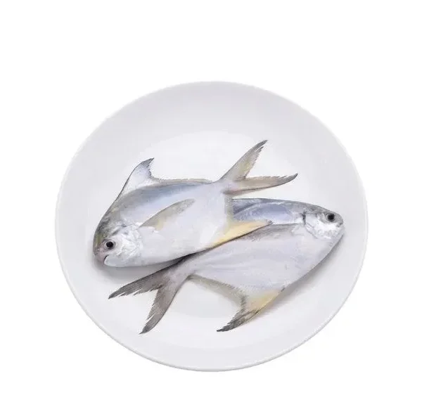 Rupchanda / Silver Pomfret Fish (7-10pcs) 800g